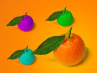 the_mandarine.jpeg